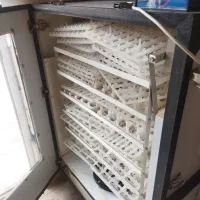 دستگاه جوجه کشی فاخته|لوازم جانبی حیوانات|مشهد, کوشک مهدی|دیوار