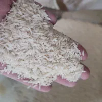 برنج هاشمی ممتاز|خوردنی و آشامیدنی|لیسار, |دیوار