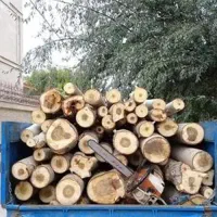 خریدار و فروش چوب
