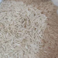 برنج کشت ایرانی