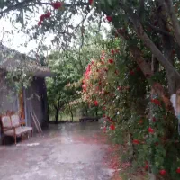 زمین-باغی-باآب-ملکی