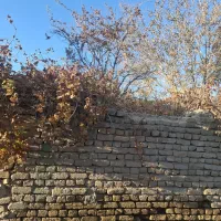 باغ-به-متراژ300-متر-واب-چشمه