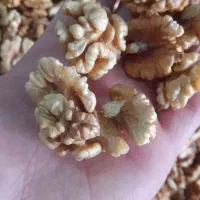 گردو درجه یک مخصوص چله