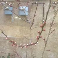 فروش اپارتمان ملک شخصی ساز|فروش آپارتمان|کرج, محمود آباد|دیوار
