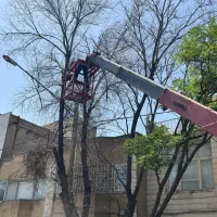 جرثقیل خاور(شبانه روزی)همراه سبدنفربر یاسبدبالابر|خدمات حمل و نقل|مشهد, کوی دروی|دیوار