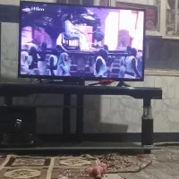 تلوزیون