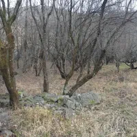 فروش زمین محصور