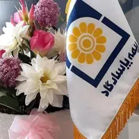 بیمه عمر و بازنشستگی پاسارگاد سرمایه گذاری طلا|خدمات مالی، حسابداری، بیمه|نورآباد, |دیوار