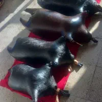 هیزه|مجسمه، تندیس، ماکت|اسلامآباد غرب, |دیوار