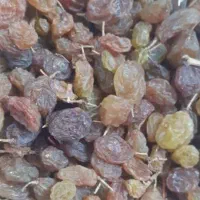 فروش کشمش، پلویی ، تیز آبی و|خوردنی و آشامیدنی|میاندوآب, |دیوار