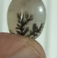 سنگ شجر|جواهرات|زنجان, |دیوار