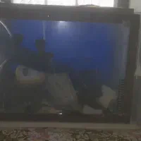 اکواریوم و وسایل آکواریوم