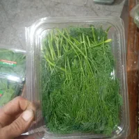 انواع سبزیجات ایرانی وفرنگی