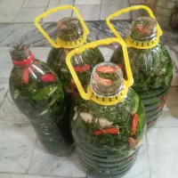 خیارشور
