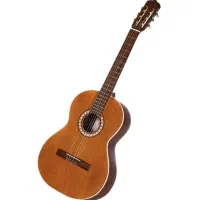 گیتار معمولی