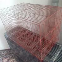 قفس پرنده