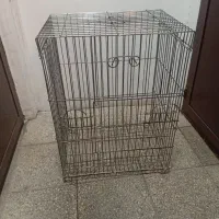 قفس عروس هلندی