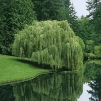 همفکری و رفع مشکل