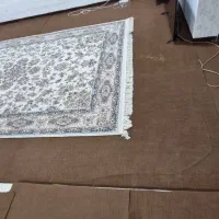 موکت در حدنو