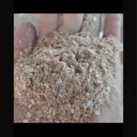 سبوس گندم