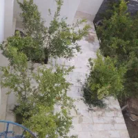 خونه باغ باغچه ۳۰۰ متری|فروش خانه و ویلا|سلفچگان, |دیوار