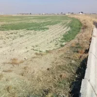 زمین کشاورزی