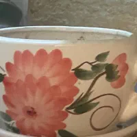 گلدان سرامیک طرح دار