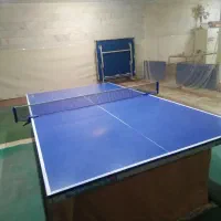 میز پینگ پنگ
