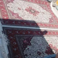 فرش کرمان کرم منی جفت درحال بافت