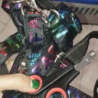 قلاده نو، باکس حمل پت و ناخنگیر مخصوص پت