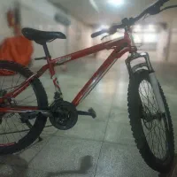 دوچرخه اورجینال برند FLASH