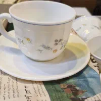 ۱۲ تا فنجون و نعلبکی آرکوپال فرانسه|ظروف سرو و پذیرایی|پردیس, فاز ۱۱|دیوار