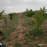 باغ در مزرعه امند 15دقیقه راهه از تبریز|فروش خانه و ویلا|صوفیان, |دیوار