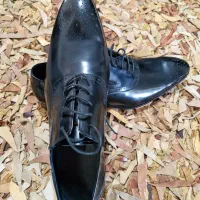 کفش برند ماسیمودوتی اورجینال(Massimo Dutti)|کیف، کفش، کمربند|تهران, میرداماد|دیوار