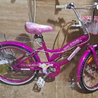 دوچرخه ۲۰ دخترانه|دوچرخه، اسکیت، اسکوتر|تهران, حشمتیه|دیوار