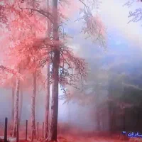 درخواست اجاره پارکینگ