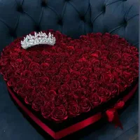 گل روبانی جاودان