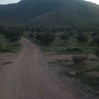 ساخت و ساز