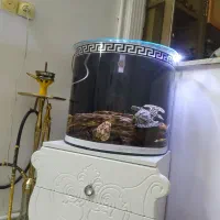 اکواریوم شیشه خم