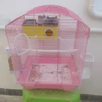 دو عدد مرغ عشق همراه با قفس|پرنده|بوکان, |دیوار