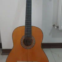 گیتار دیاموند