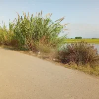 فروش ویا معاوضه بااپارتمان یاویلاحومه بابلسر|فروش دفتر صنعتی، کشاورزی، تجاری|هادی شهر, |دیوار