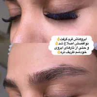 مدل رایگان جهت میکروتلفیقی ابرو