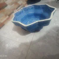 تنگ ماهی|ماهی|شیروان (خراسان), |دیوار