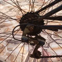 دوچرخه تاشو وارداتی|دوچرخه، اسکیت، اسکوتر|بوشهر, |دیوار