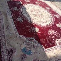 فروش انواع فرش دست دوم|فرش|کوه چنار, |دیوار