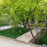 باغ-میوه-1000-متری
