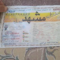 فرش ۴×۲ تمام اکریلیک ۵۰۰ شانه سفارشی|فرش|کرج, آتشگاه|دیوار