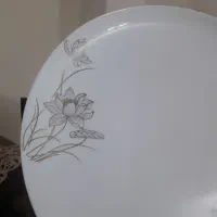 سرویس ارکوپال گلدن اوپال