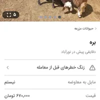یه عدد بره نر و3عدد بزغاله نر